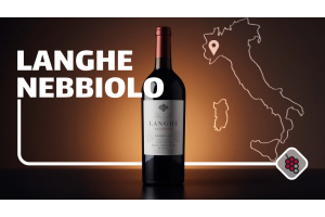 Langhe Nebbiolo: Ontdek de kleinere broer van Barolo