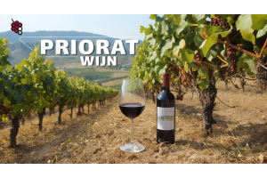 Priorat wijn: van oude kloosterlijke traditie tot moderne heropleving