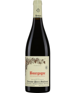 Domaine Pierre Guillemot Bourgogne Pinot Noir 2023