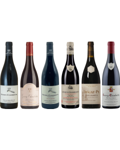 Gevrey Chambertin Proefkoffer