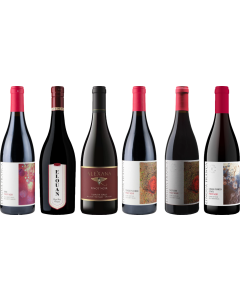 Oregon Pinot Noir Premium Proefkoffer
