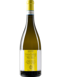 Santa Barbara Stefano Antonucci Verdicchio dei Castelli di Jesi Classico Superiore 2022