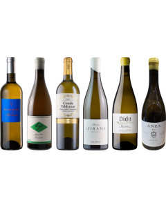 Spaanse witte wijnen Premium Proefkoffer