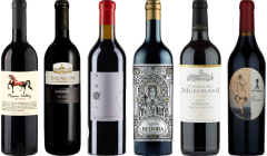 Georgische Saperavi Premium Proefkoffer