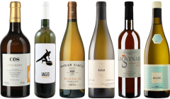 Sinaasappelwijn Premium proefkoffer