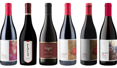Oregon Pinot Noir Premium Proefkoffer
