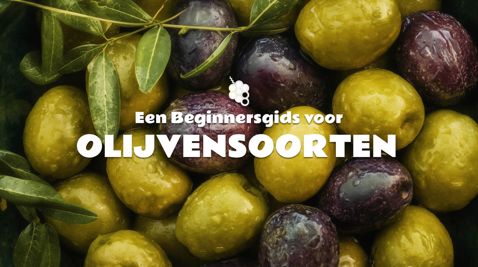 Een Beginnersgids voor Olijvensoorte: Hoe smaakt elke variëteit en hoe kies je ze